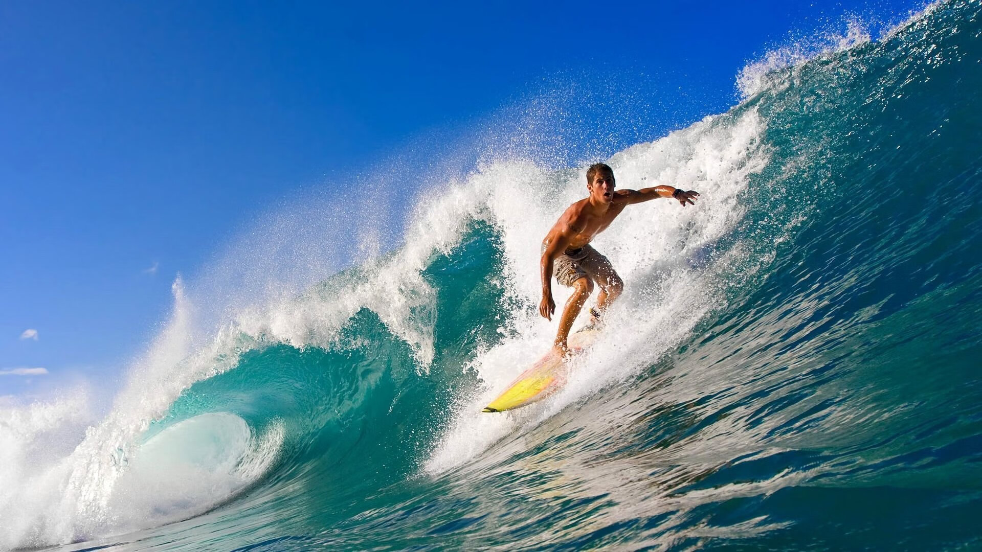 冲击季后赛：球队当前的状态与挑战，冲击总决赛